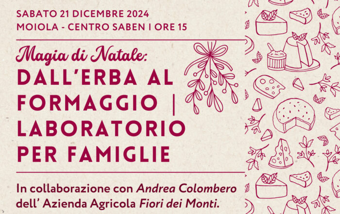 valle stura experience vacanze natale 2024 in provincia di cuneo