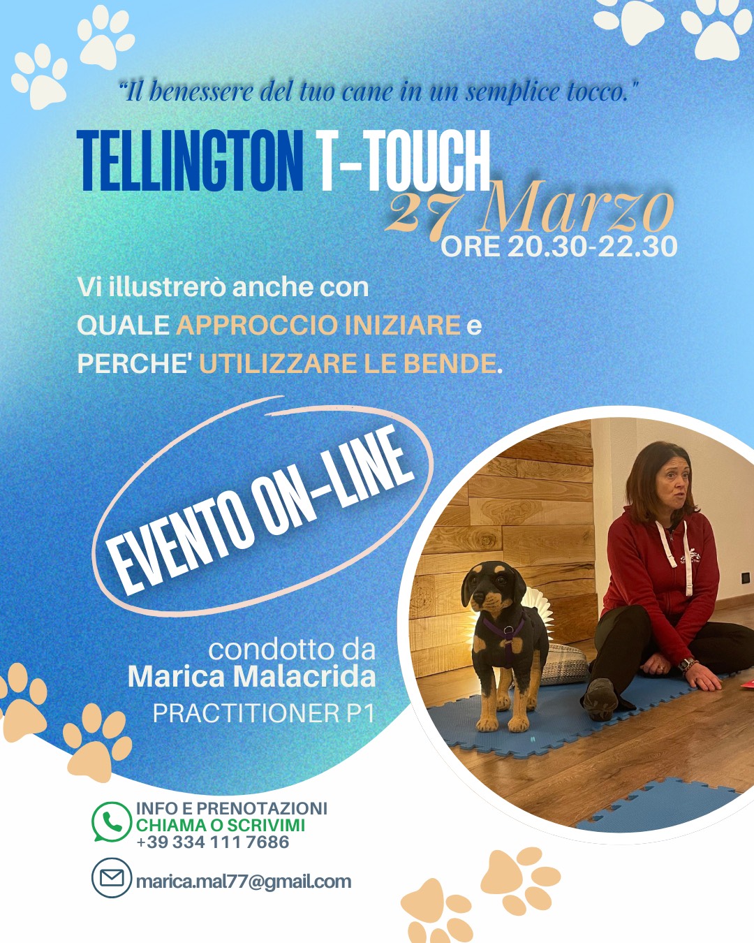 Corso di Tellington TTouch